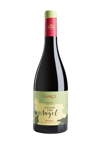 Angel Rioja Ilurce